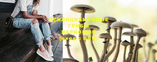 кристаллы Осташков
