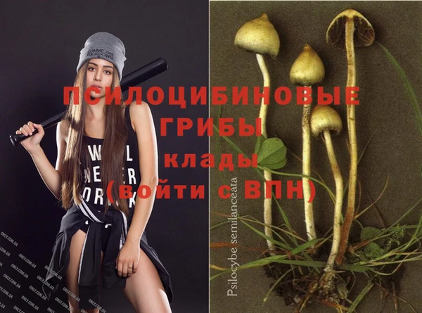 PSILOCYBIN Ельня