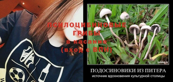 мдпв Няндома